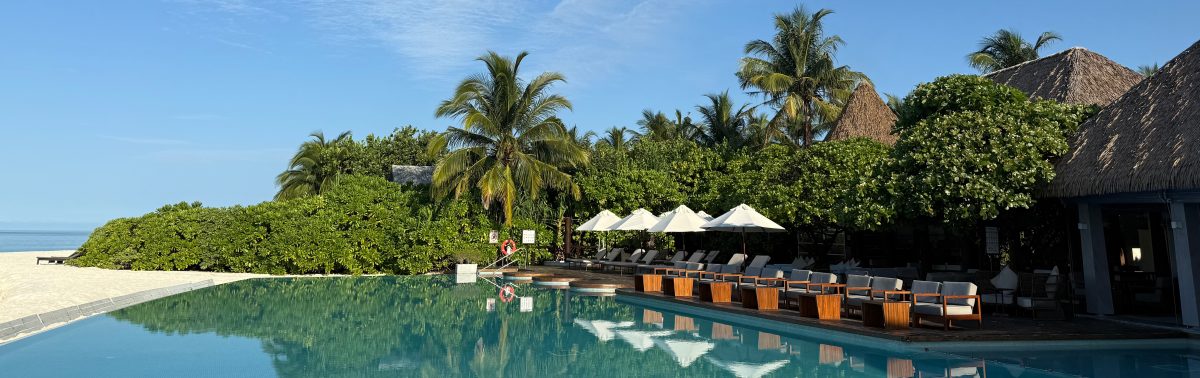 Michele Blockley MBACP (Accred),  Counselling and Psychotherapy for Adults, Children and Young People